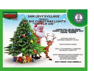 Sam Levy's Annual Christmas Lights Switch On