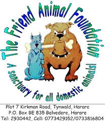 The Friend Animal Foundation