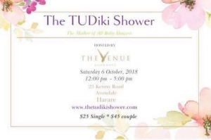 The TUDiki Shower