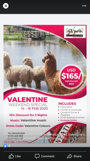 Valentine's Weekend Special At Nyati Eco Game Park