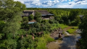 Wallow Lodge  Zim Residents Special