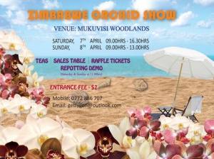 Zimbabwe Orchid Show 2018