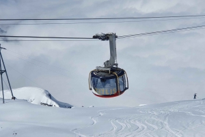 Alpine Majesty: Private Tour to Mount Titlis from Zürich