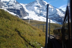 Alpine Majesty:Zürich to Jungfraujoch Exclusive Private Tour