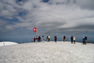 Alpine Majesty:Zürich to Jungfraujoch Exclusive Private Tour