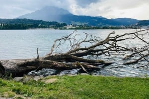 Berna: escursione privata di mezza giornata a Lauterbrunnen e Grindelwald