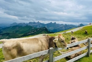 Berna: escursione privata di mezza giornata a Lauterbrunnen e Grindelwald
