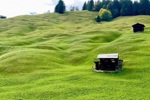 Best of Switzerland Bernese Oberland Day Trip with Cable Car