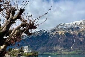 Best of Switzerland Berneński Oberland - 1-dniowa wycieczka z kolejką linową