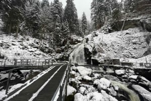 Best of Switzerland Berneński Oberland - 1-dniowa wycieczka z kolejką linową