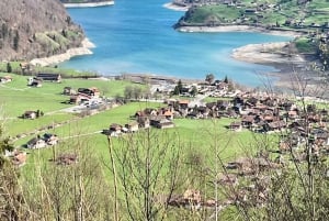 Best of Switzerland Berneński Oberland - 1-dniowa wycieczka z kolejką linową