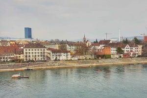 Discover Basel's Charm: Exclusive Private Walking Tour