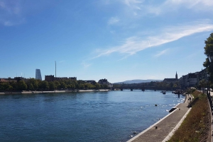 Discover Basel's Charm: Exclusive Private Walking Tour