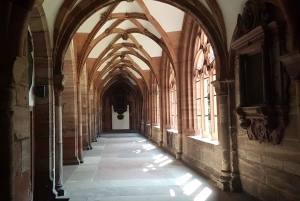 Discover Basel's Charm: Exclusive Private Walking Tour