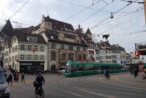 Discover Basel's Charm: Exclusive Private Walking Tour