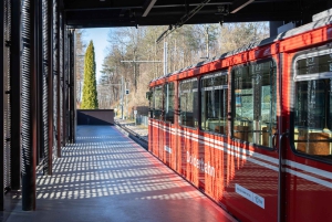 Dolderbahn Railway between Römerhof and Dolder Zürich