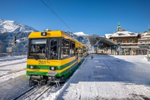 Eiger and Jungfrau Glacier View Day Trip from Zurich