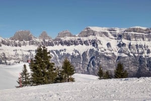 Flumserberg Day Trip: Train + Cable Car + Snow Fun