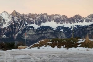 Flumserberg Day Trip: Train + Cable Car + Snow Fun