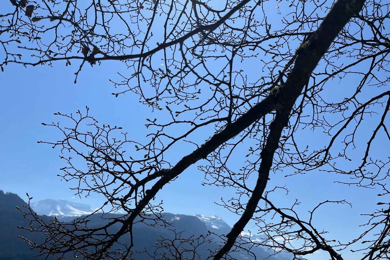 Из Базеля: Альпы, водопады и озера — тур на частном автомобиле