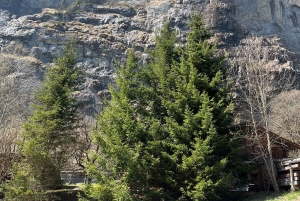 Von Basel aus: Private Tour mit dem Auto zu den Alpen, Wasserfällen und Seen