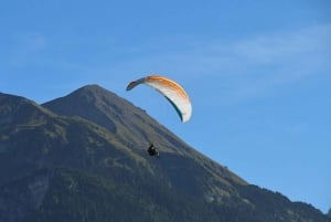 Von Basel aus: Private Tour mit dem Auto zu den Alpen, Wasserfällen und Seen