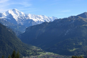 Von Basel aus: Private Tour mit dem Auto zu den Alpen, Wasserfällen und Seen