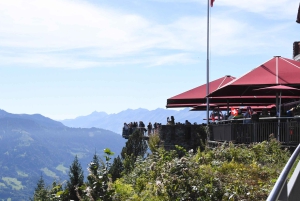 Von Basel aus: Private Tour mit dem Auto zu den Alpen, Wasserfällen und Seen