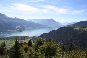 Von Basel aus: Private Tour mit dem Auto zu den Alpen, Wasserfällen und Seen
