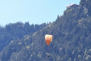 Von Basel aus: Private Tour mit dem Auto zu den Alpen, Wasserfällen und Seen