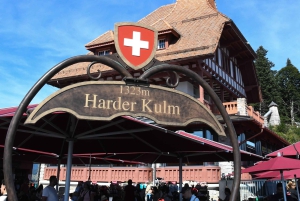 Von Basel aus: Private Tour mit dem Auto zu den Alpen, Wasserfällen und Seen