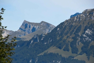 Von Basel aus: Private Tour mit dem Auto zu den Alpen, Wasserfällen und Seen