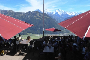 Из Базеля: Альпы, водопады и озера — тур на частном автомобиле