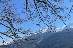 Von Basel aus: Private Tour mit dem Auto zu den Alpen, Wasserfällen und Seen