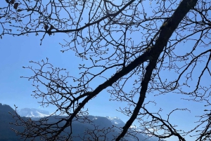 Von Basel aus: Private Tour mit dem Auto zu den Alpen, Wasserfällen und Seen