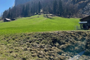 Von Basel aus: Private Tour mit dem Auto zu den Alpen, Wasserfällen und Seen