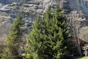 Von Basel aus: Private Tour mit dem Auto zu den Alpen, Wasserfällen und Seen