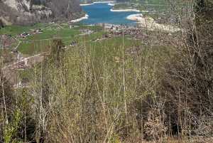 Von Basel aus: Private Tour mit dem Auto zu den Alpen, Wasserfällen und Seen