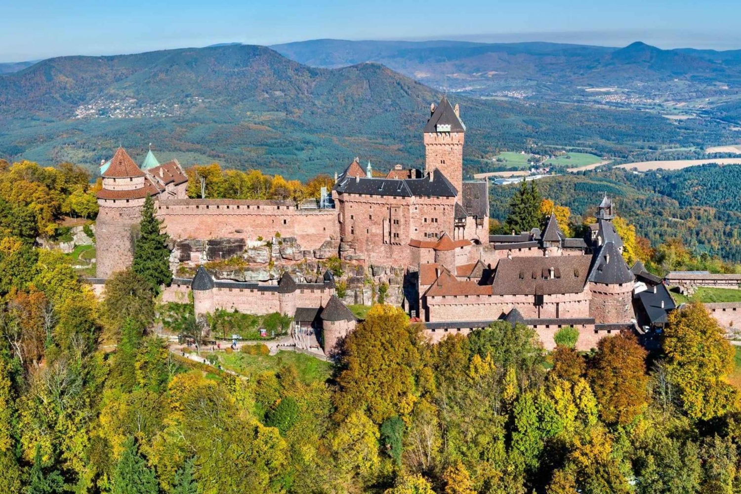 Fra Colmar: Heldagstur langs vinruten i Alsace