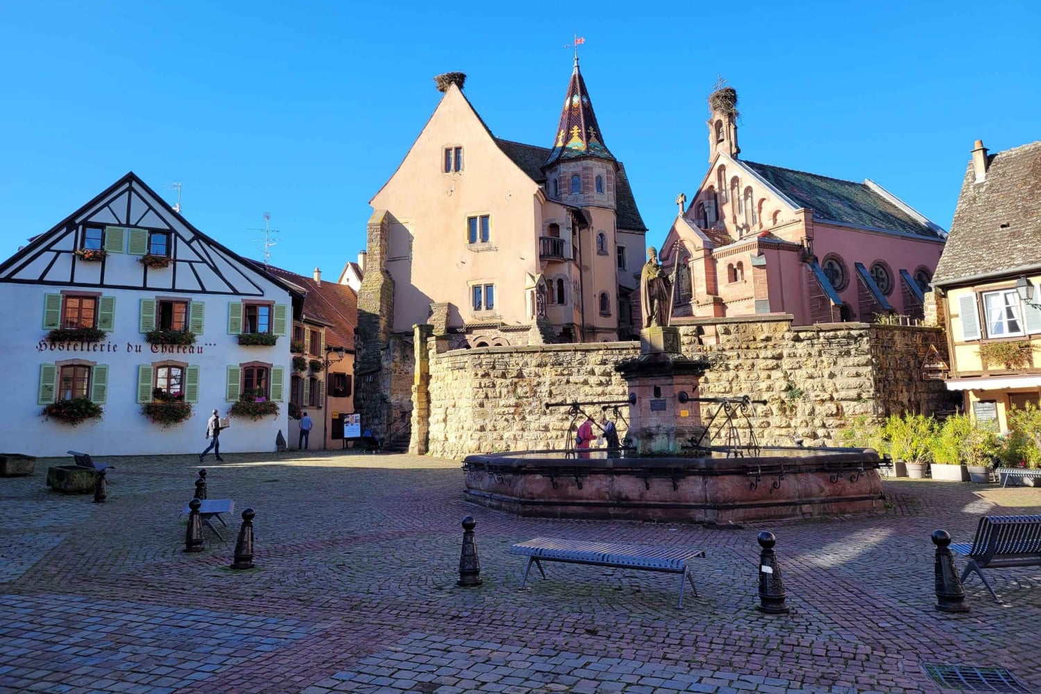 Au départ de Colmar : visite d'une demi-journée de la route des vins d'Alsace