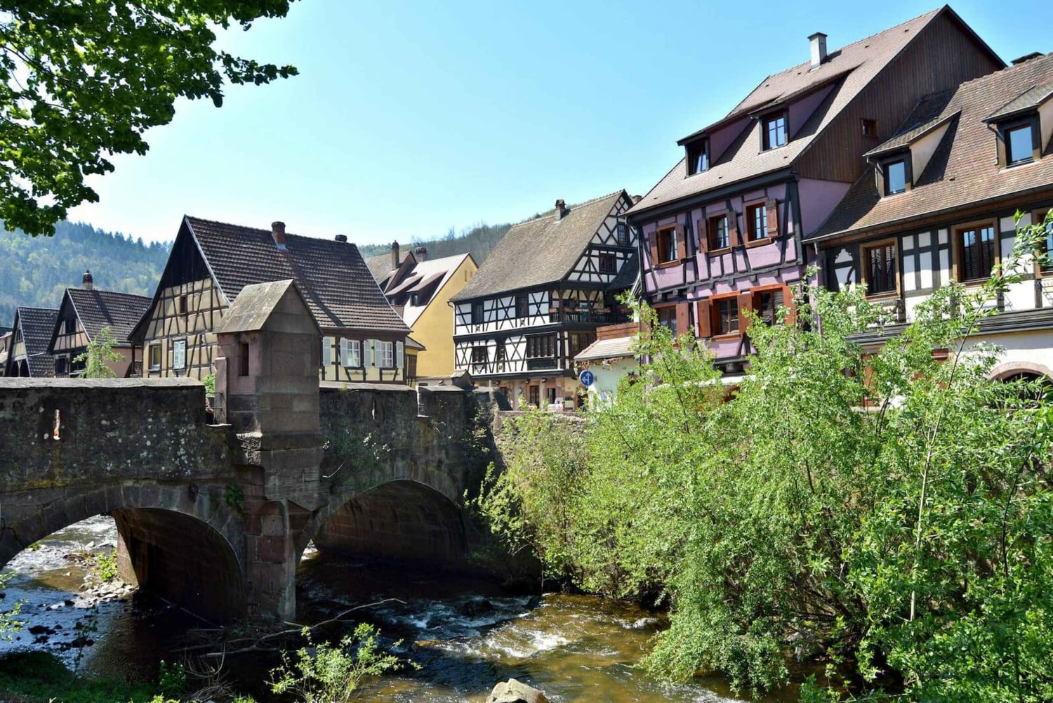 Au départ de Colmar : visite d'une demi-journée de la route des vins d'Alsace