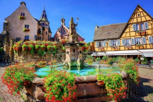 From Colmar: Alsace wine route tour Half Day