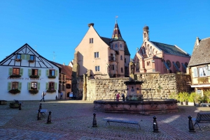 From Colmar: Alsace wine route tour Half Day