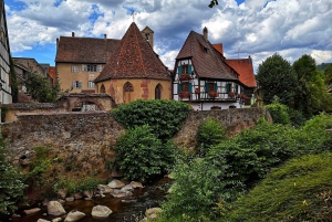 From Colmar: Alsace wine route tour Half Day