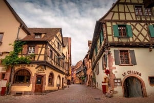 Au départ de Colmar : visite d'une demi-journée de la route des vins d'Alsace