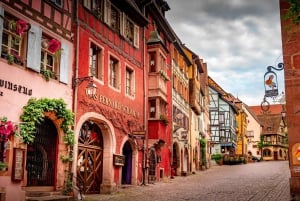 Au départ de Colmar : visite d'une demi-journée de la route des vins d'Alsace