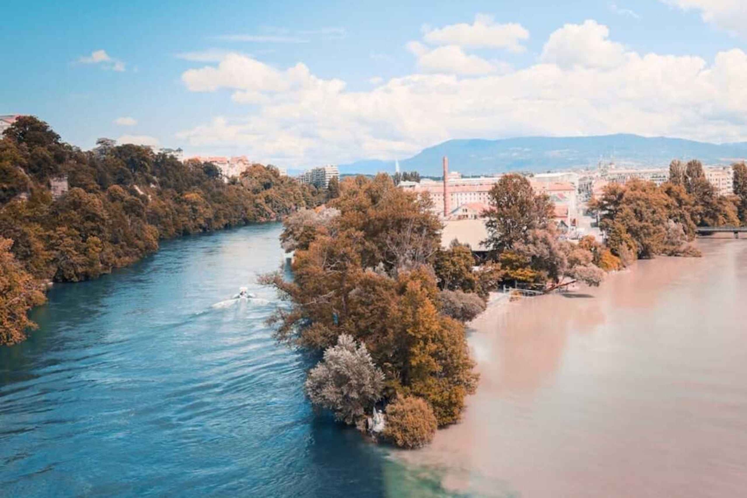 Von Luzern aus: Tagestour nach Genf mit dem Auto