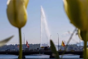 Von Luzern aus: Tagestour nach Genf mit dem Auto