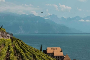 Von Luzern aus: Tagestour nach Genf mit dem Auto
