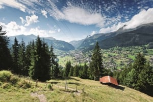 Fra Luzern: Dagstur til Grindelwald og Lauterbrunnen